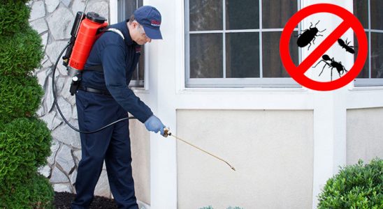 Ilgın Dezenfeksiyon böcek ilaçlama ve haşere kontrolü — ilaclama-tr.com
